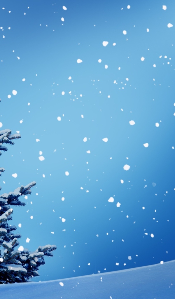 Зеленая ель на голубом фоне со снегом, шаблон для открытки