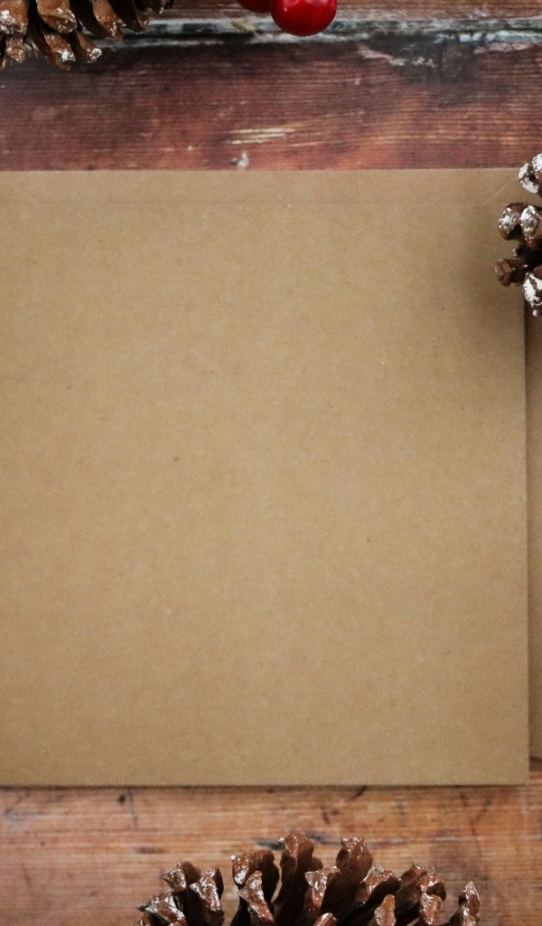 Лист бумаги с шишками и ягодами шаблон открытки