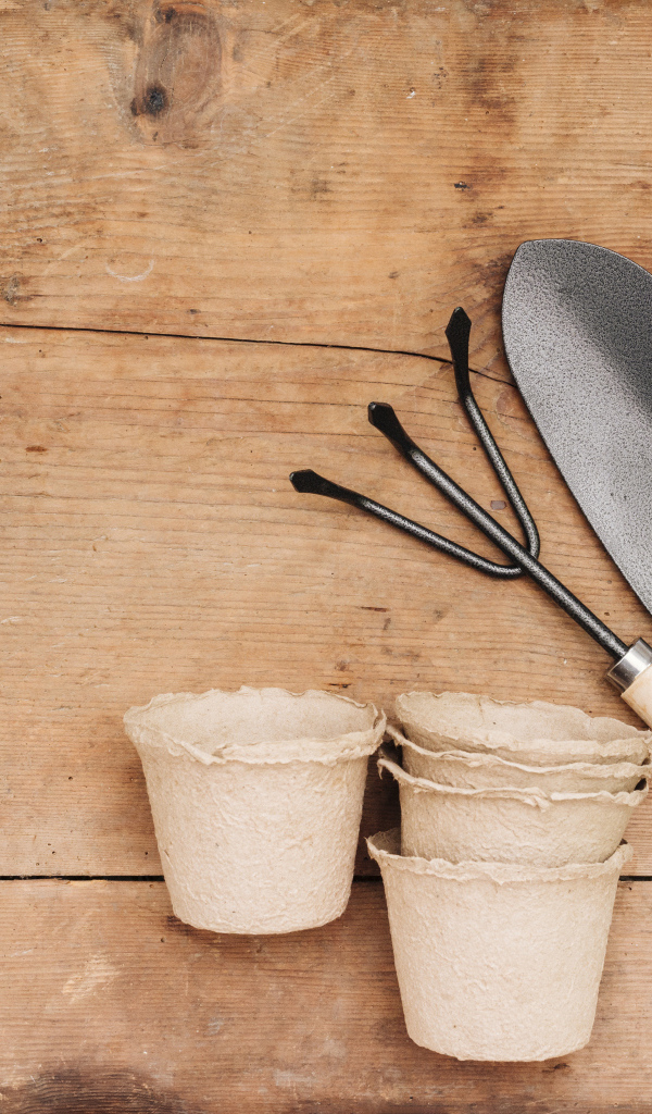 Садовый инвентарь на деревянном столе