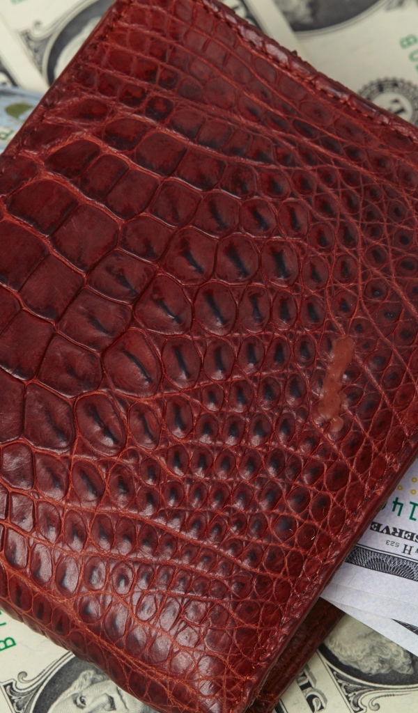 Кожаный кошелек с долларами
