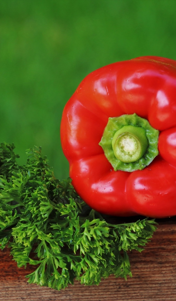 Болгарский перец с зеленью петрушки