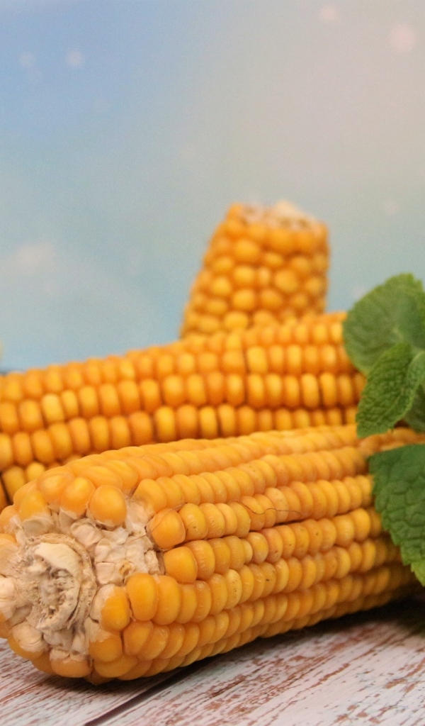 Початки кукурузы на столе с маслом