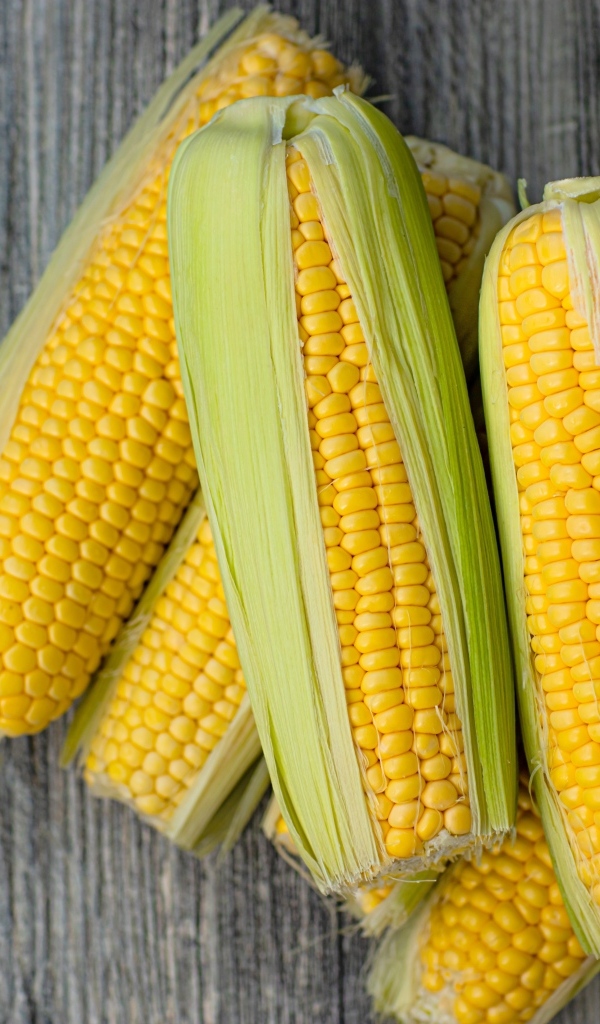 Початки кукурузы с листьями на сером столе