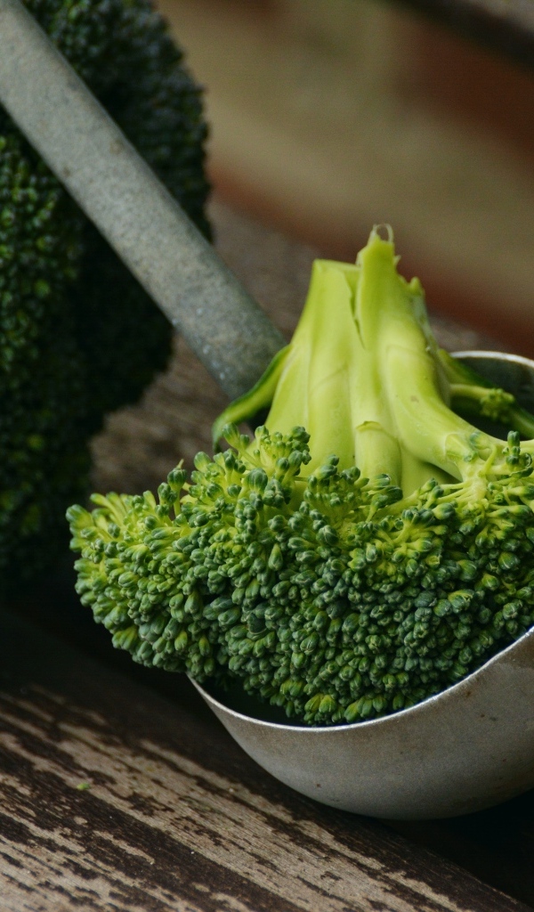 Зеленое брокколи с половником на столе