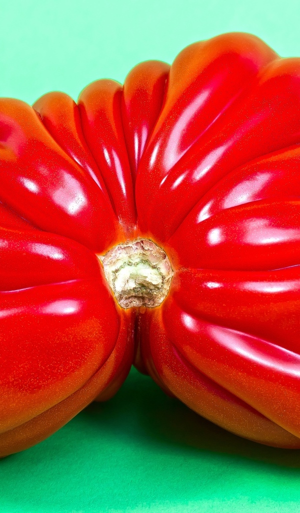 Большой спелый красный томат на зеленом фоне