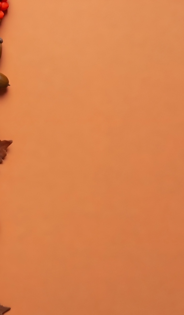 Тыквы с шишками на оранжевом фоне