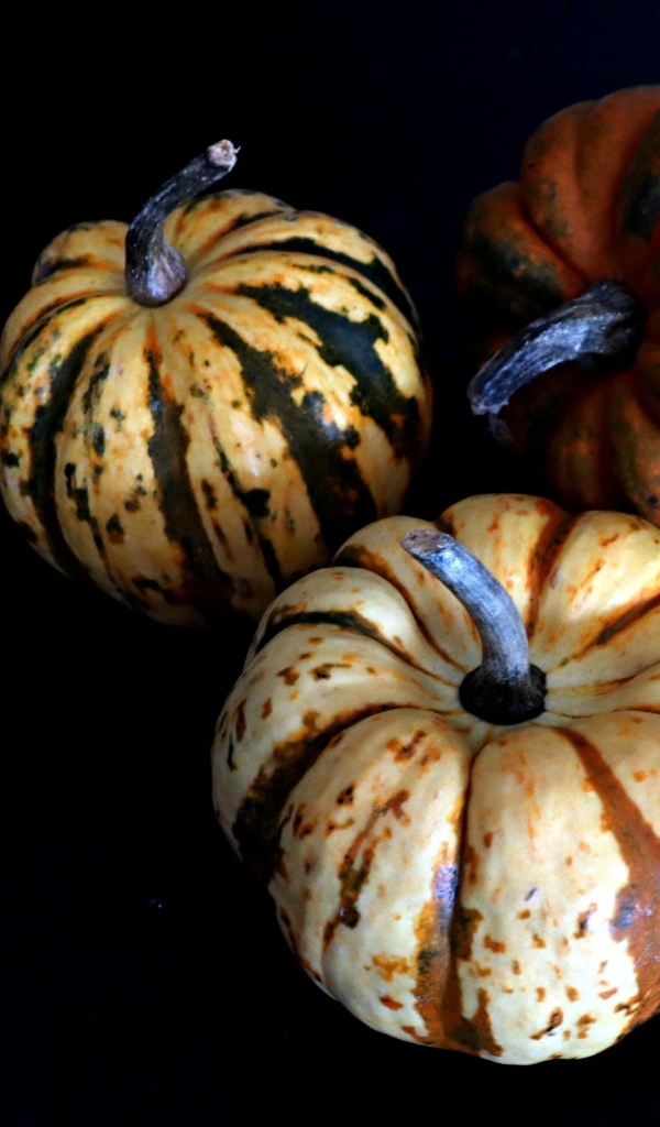 Три тыквы на черном фоне