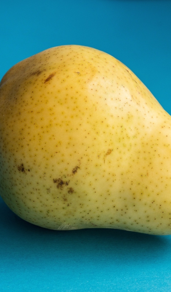 Большая желтая груша на голубом фоне