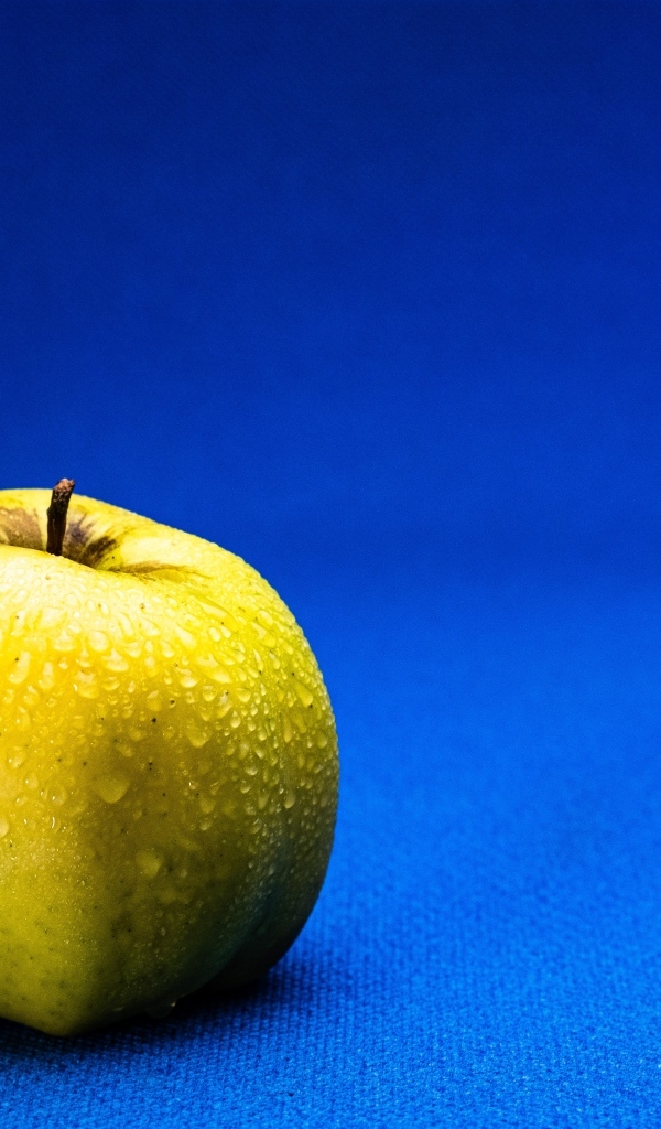 Большое желтое мокрое яблоко на синем фоне