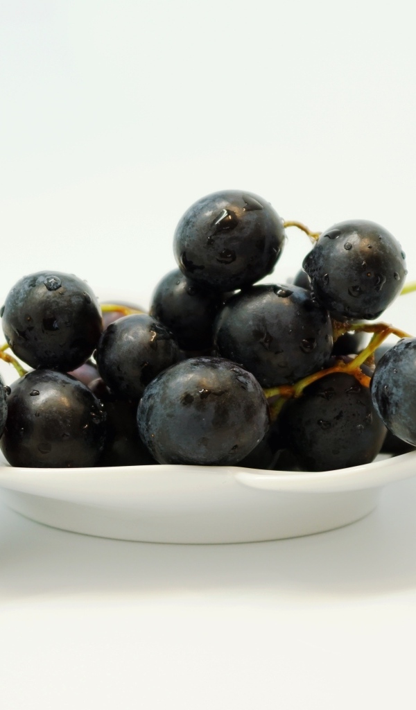Гроздь синего винограда в тарелке на белом фоне