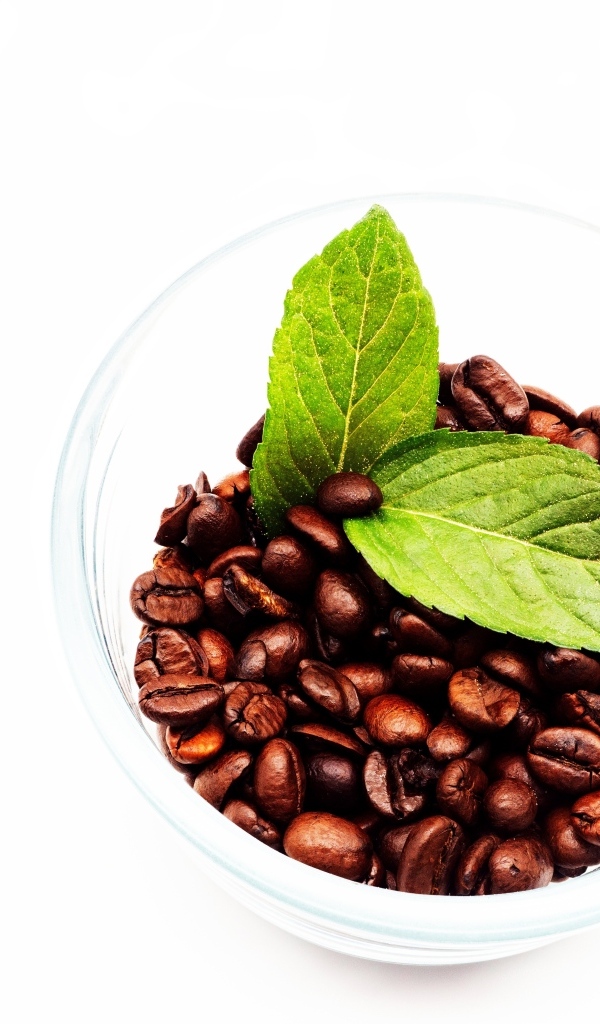 Стакан с кофейными зернами и листьями мяты