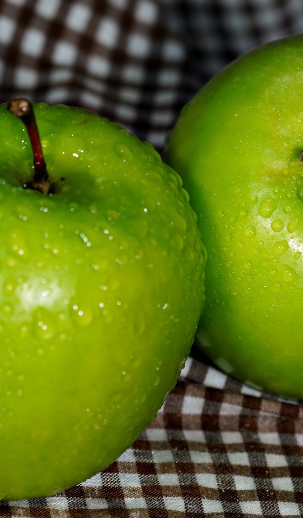 Два мокрых зеленых яблока на скатерти
