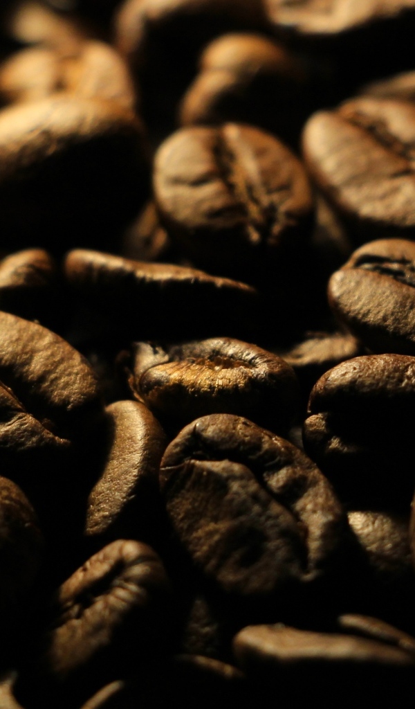 Крупные жареные кофейные зерна для гурмана