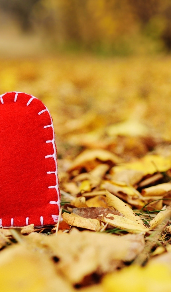 Красное тканевое сердце лежит на опавшей листве