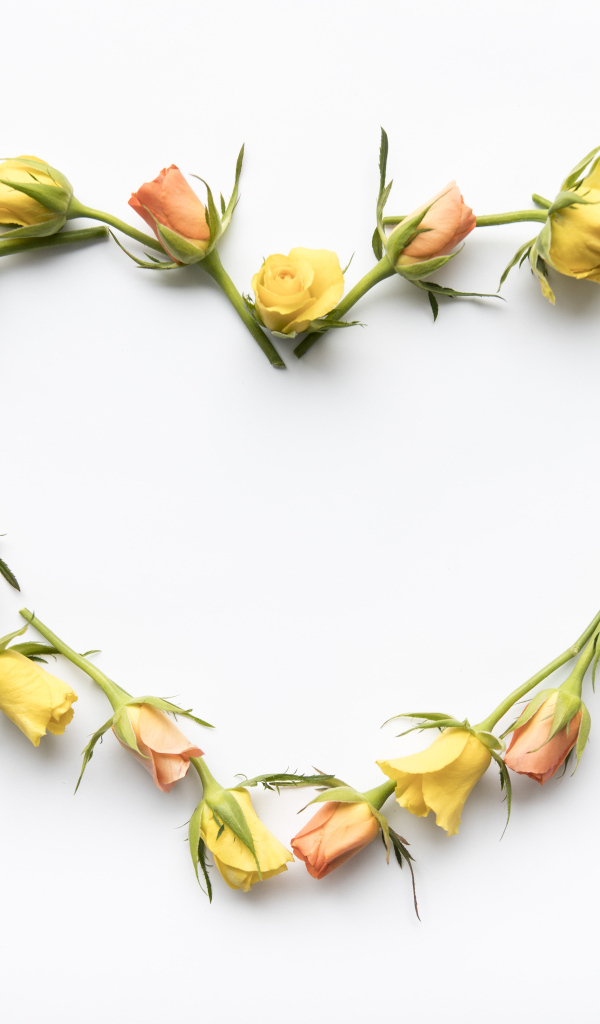 Милое сердце из роз на белом фоне