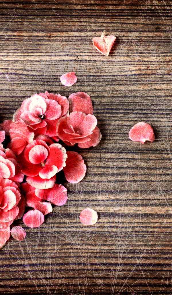 Сердце из цветов на деревянном фоне с царапинами