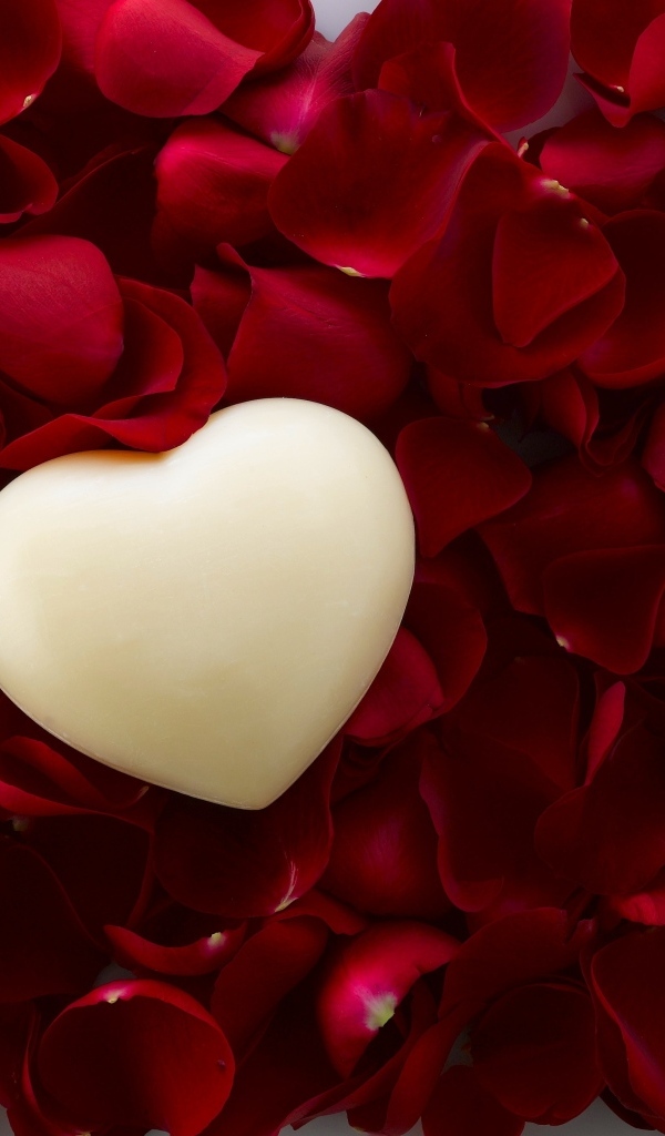 Белое сердце на красных лепестках розы