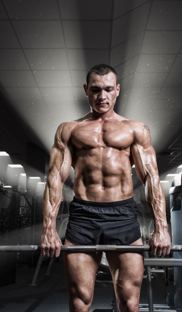 Сильный мужчина качает штангу в спортзале