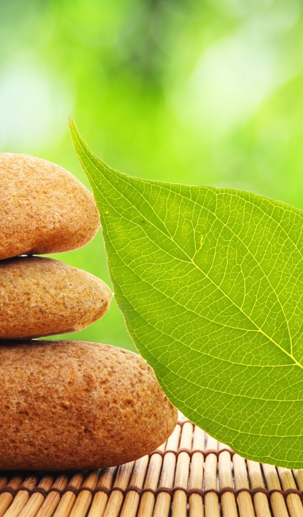 Пирамида из камней с зеленым листом 