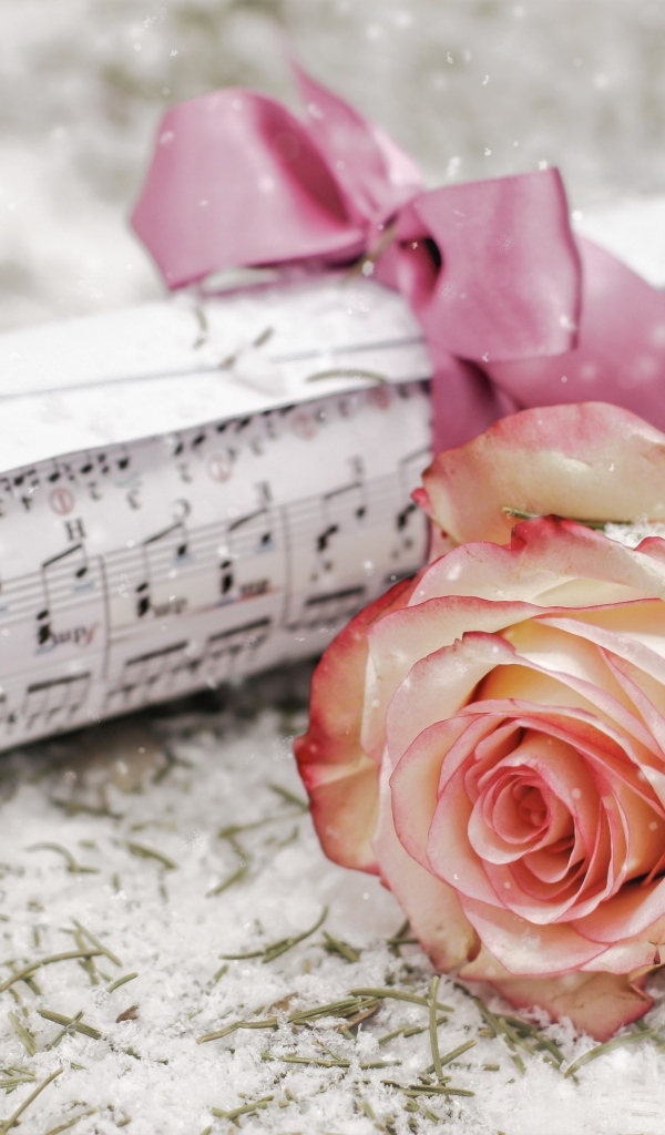 Роза и сверток с нотами лежит на снегу