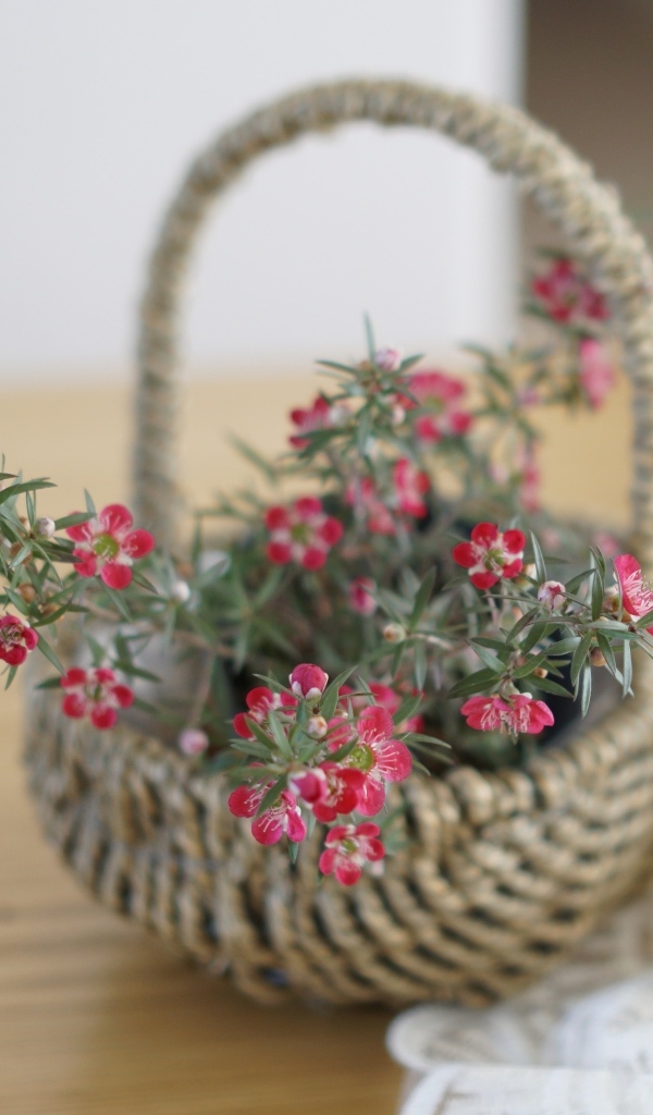 Корзина с цветами на столе