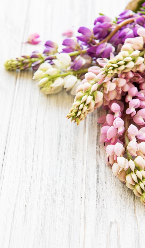 Букет люпинов на деревянном столе