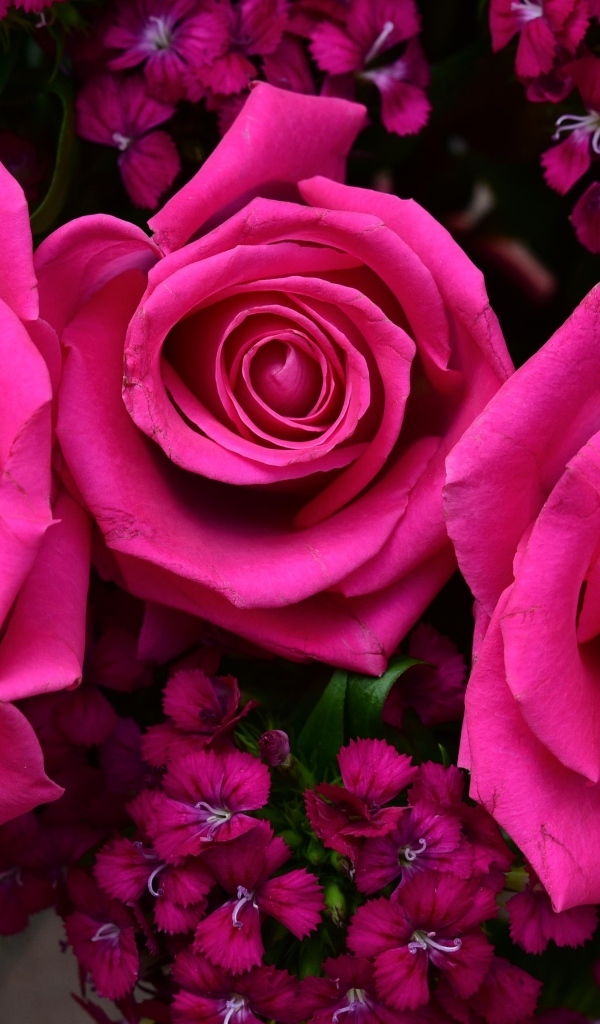 Букет розовых роз с гвоздикой