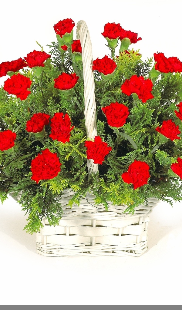 Букет красных гвоздик в корзине на белом фоне