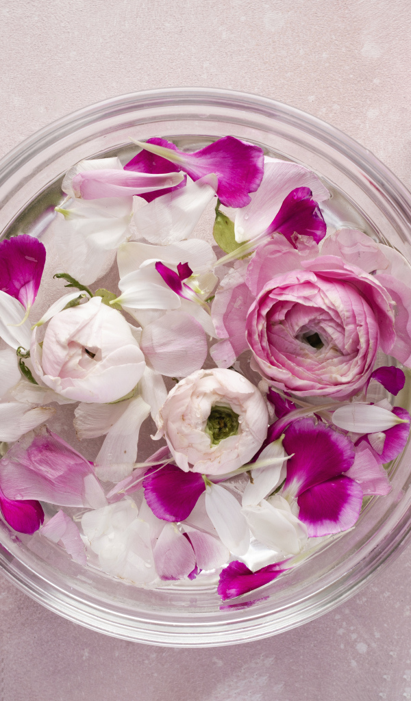 Стеклянный сосуд с оборванными цветами розы и лютика