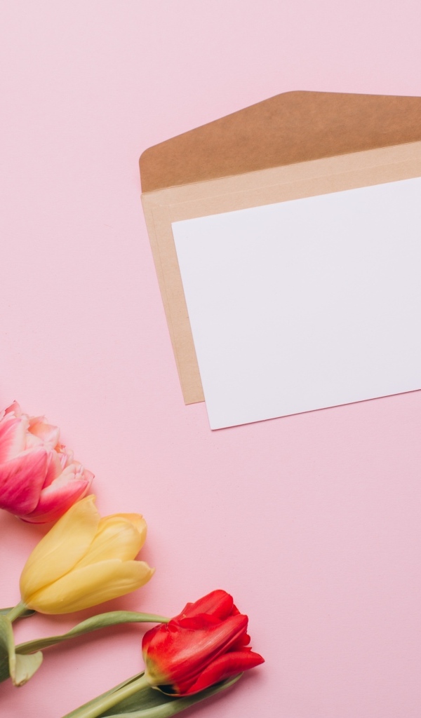 Письмо с букетом тюльпанов и ручкой на розовом фоне