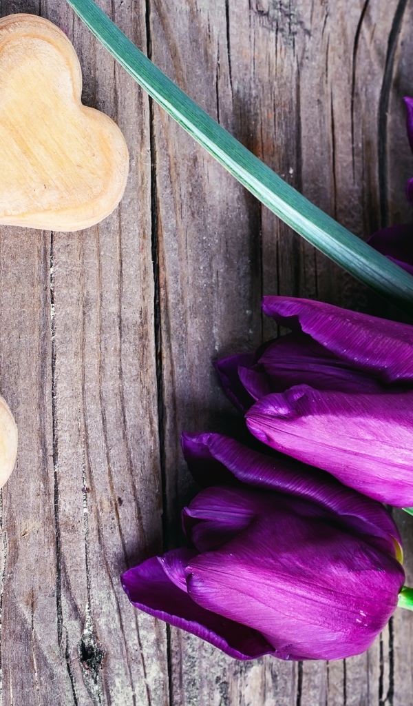 Фиолетовые тюльпаны с деревянными сердечками