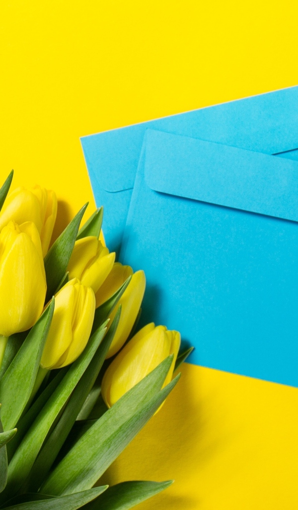 Два синих конверта с тюльпанами на желтом фоне