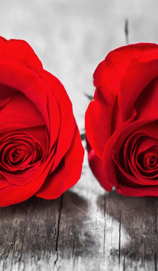 Две красные розы на деревянном столе