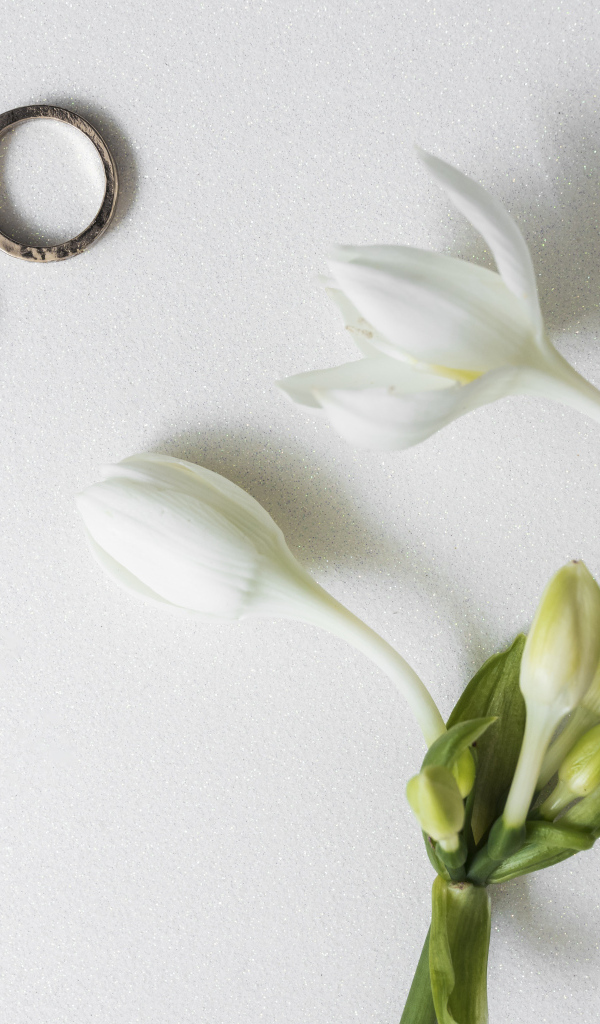 Два оручальных кольца с цветами на сером фоне