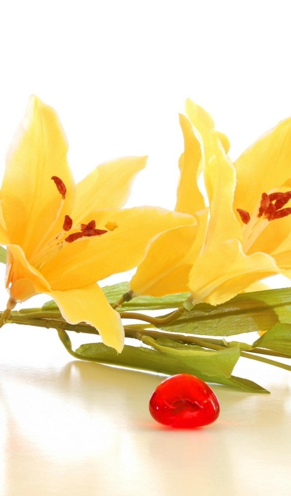 Желтые лилии на белом фоне с духами