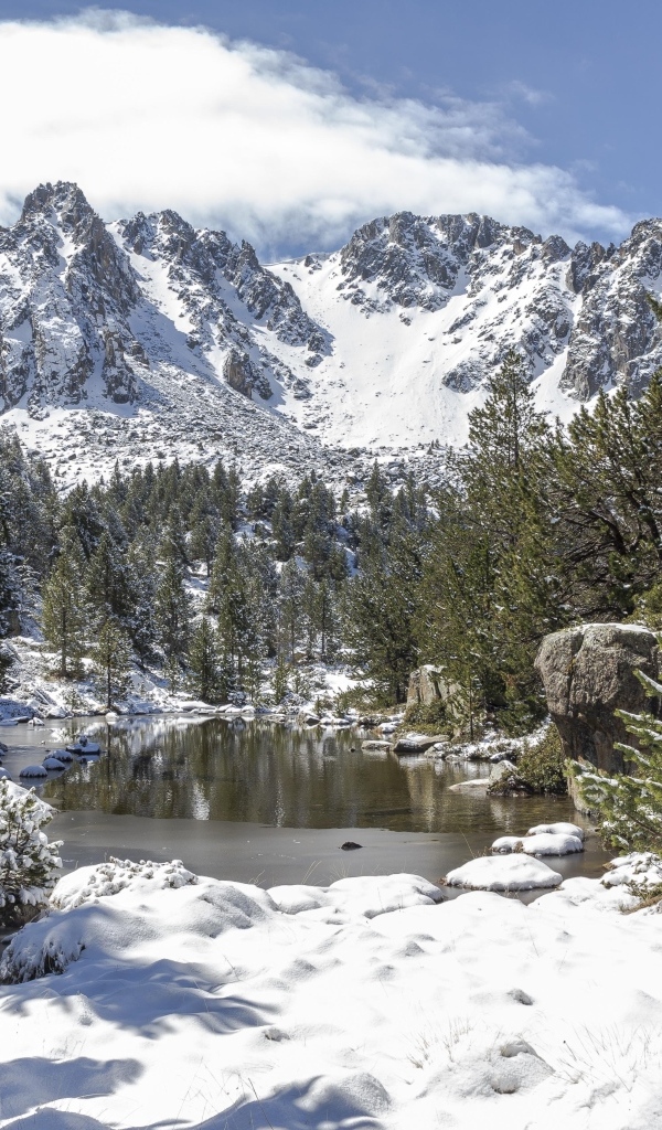 Озеро у покрытых снегом гор в зимнем лесу
