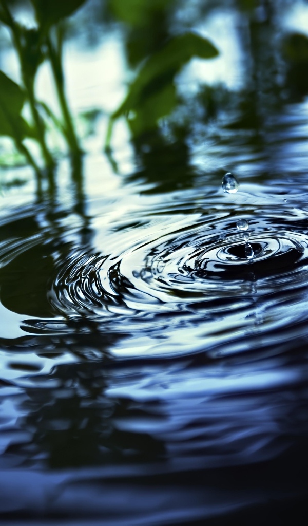 Круги и брызги на воде 