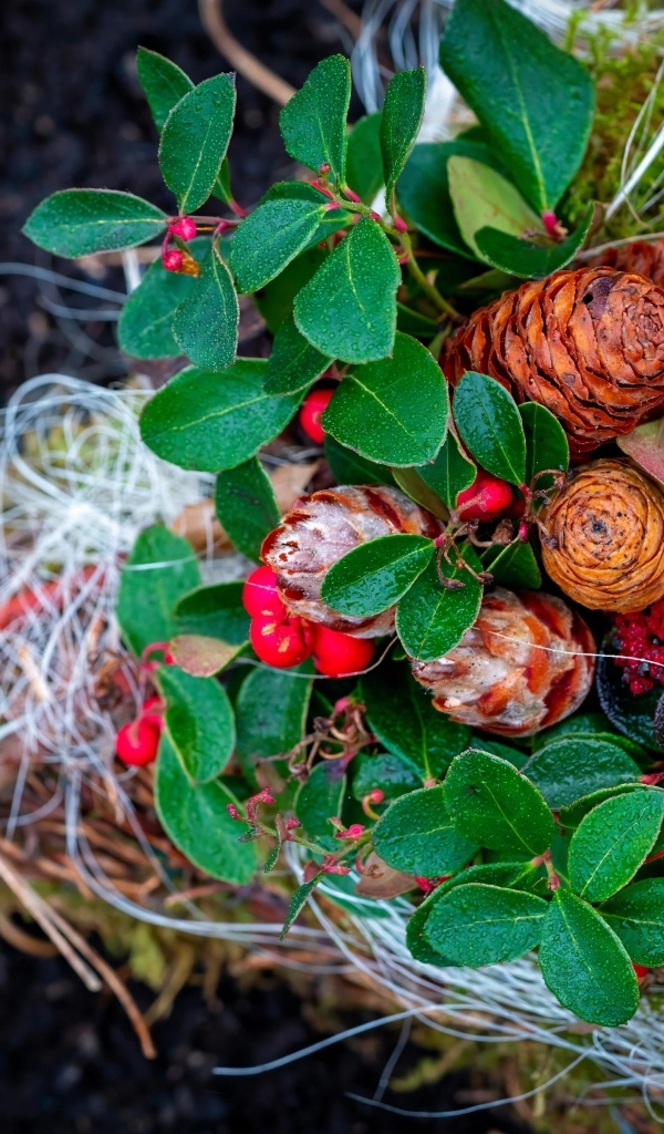 Шишки с ветками и ягодами калины