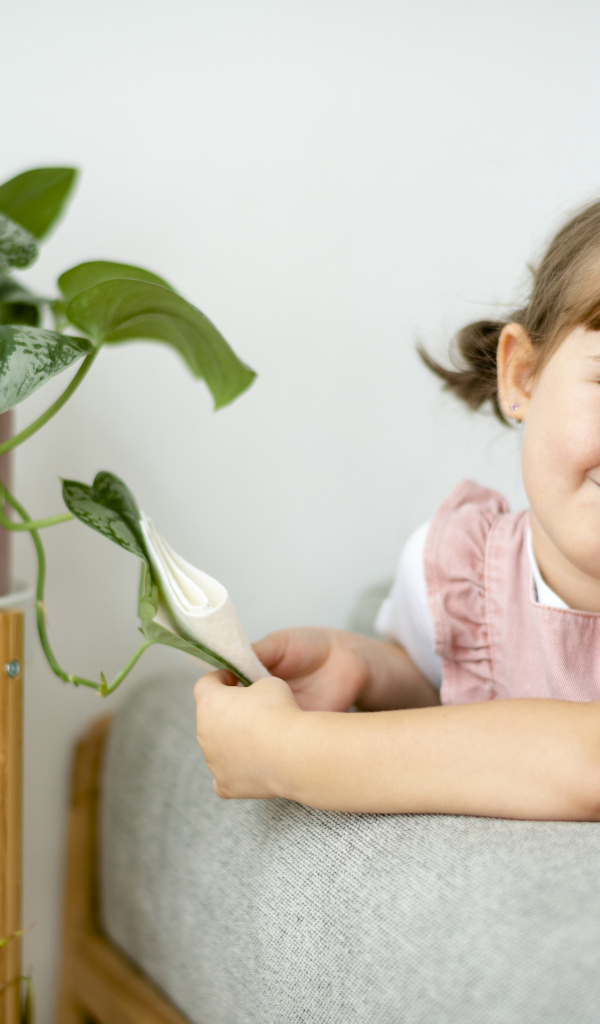 Маленькая девочка сидит на диване у цветка
