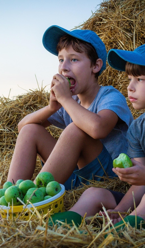 Два маленьких мальчика с зелеными яблоками у стога сена