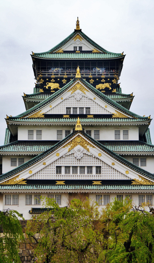 Красивое здание дворца, Япония