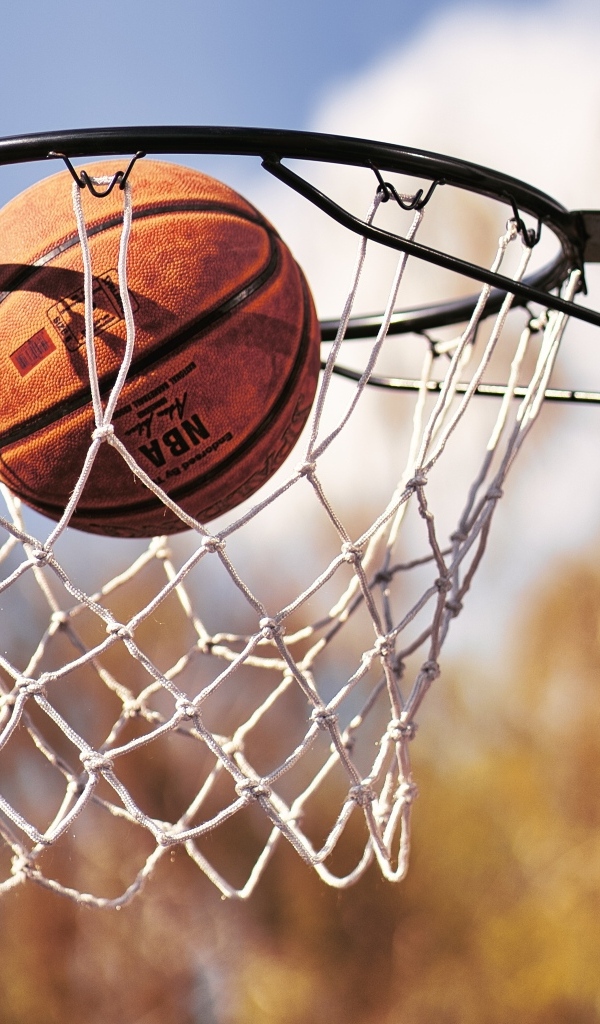 Баскетбольное кольцо с кожаным мячом 