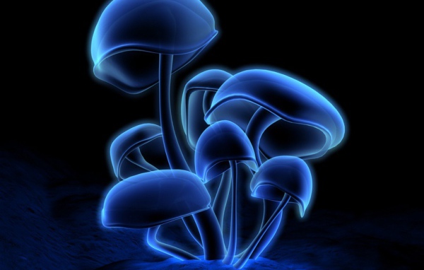 3D обои грибы