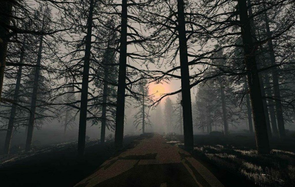 Обои на рабочий стол В Лесу