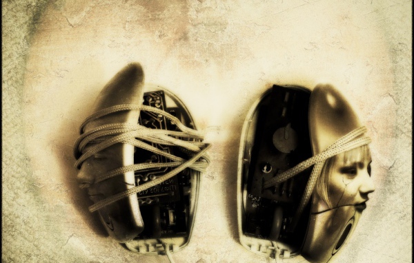 В мире мышей