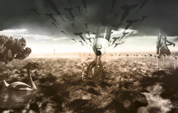 Преобразование Живой Ценности