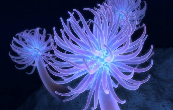 обои на рабочий стол 3D