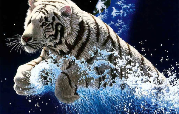 Быстрый тигр