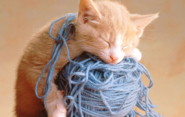 Котёнок и клубок