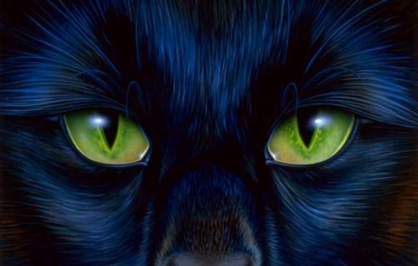 Кошачий взгляд
